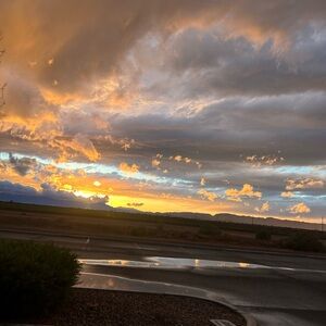 Meet your Posher, Sibelle